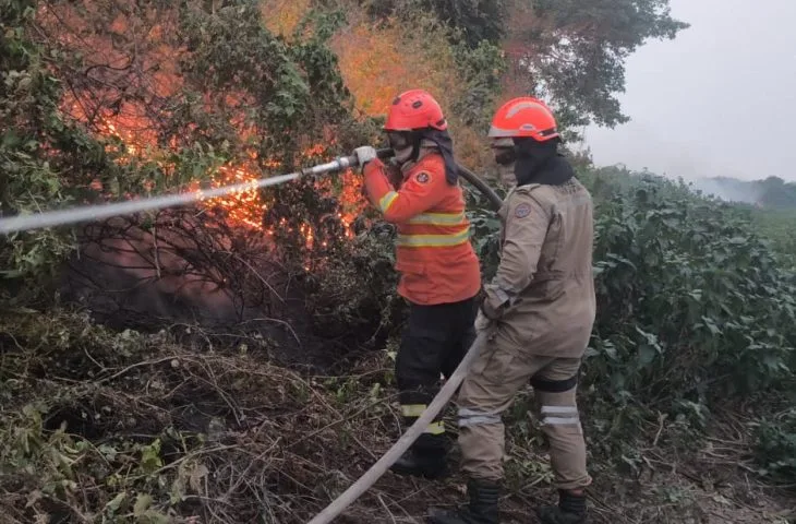 Boletim climático indica frente fria e possibilidade de chuva neste final de semana, mas próximos dias devem ser de calor intenso - Foto: Reprodução/Governo MS