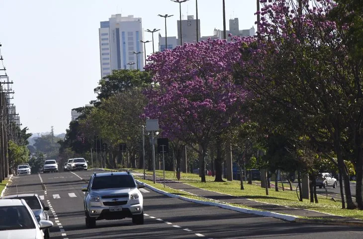 Campo Grande deve registrar máxima de 23 graus nesta terça-feira - Foto: Reprodução/ Governo de MS