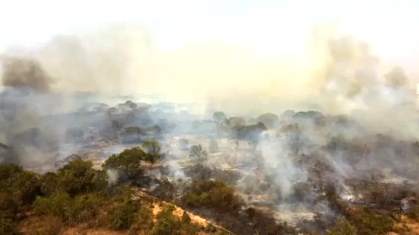 Diversos setores estaduais e municipais têm se mobilizado em uma força-tarefa para tentar conter o avanço do fogo e punir os infratores. - Foto: Arquivo/JPNews