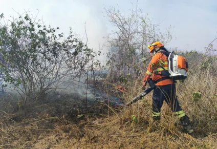 Dificuldade de acesso aos locais mais afetados e condição climática continuam como fatores que dificultam o combate - Foto: Reprodução/CBMMS