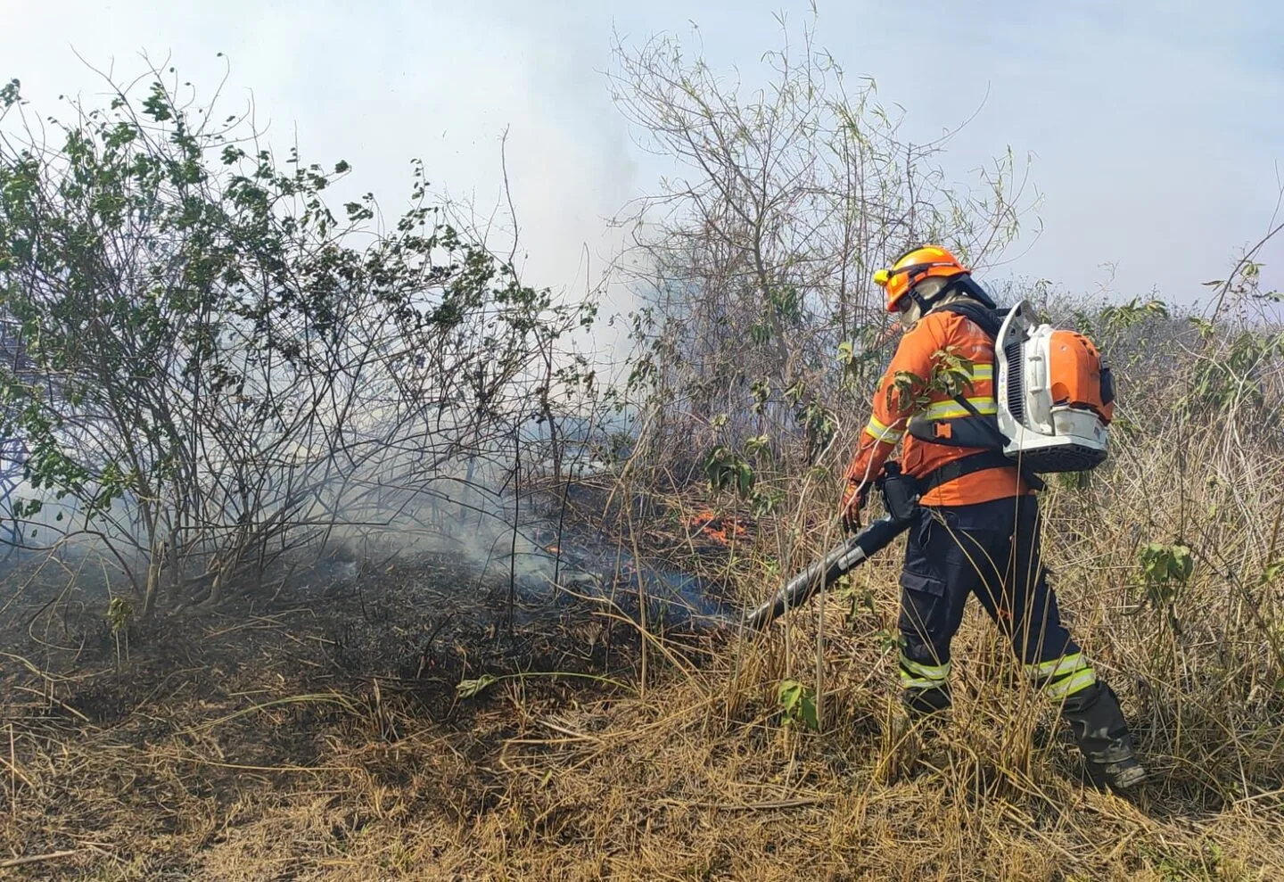 Dificuldade de acesso aos locais mais afetados e condição climática continuam como fatores que dificultam o combate - Foto: Reprodução/CBMMS