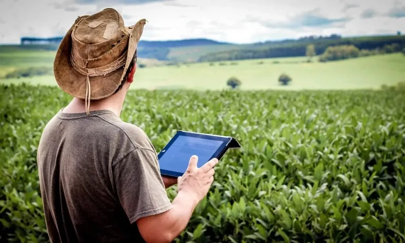 recursos como mapeamento por satélites colaboram para tomada de decisões - Foto: Reprodução/ My Farm