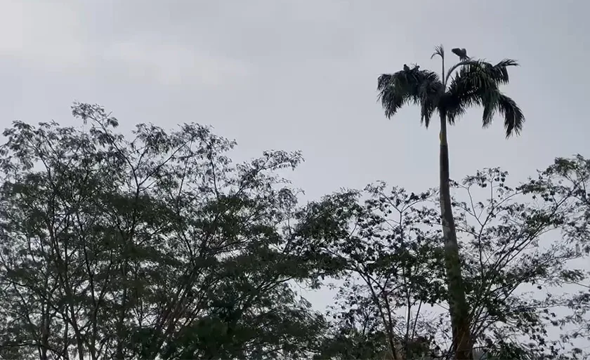 A chuva no município chegou 1,4 mm - Alfredo Neto/RCN67