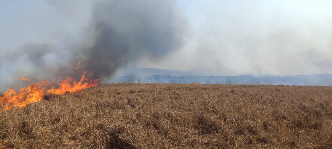 Corpo de Bombeiros em Paranaíba atendeu no plantão das últimas 24 horas três incêndios na zona rural - Arquivo - Corpo de Bombeiros