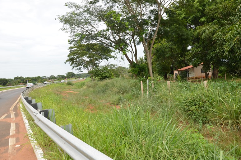 Empresário quer uma área de 18.5 hectares no Cinturão Verde para instalar fábrica de cerveja - Hugo Leal/ JPNEWS