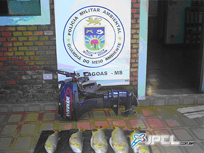 Além dos petrechos proibidos, peixes eram menores que o tamanho permitido -