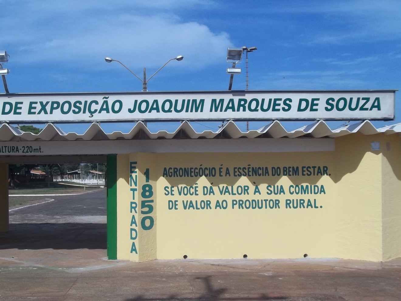  - Divulgação 