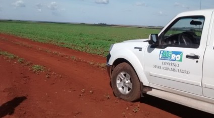 O produtor que não fizer o cadastro dentro do prazo está passível de multa  - Assessoria/Iagro