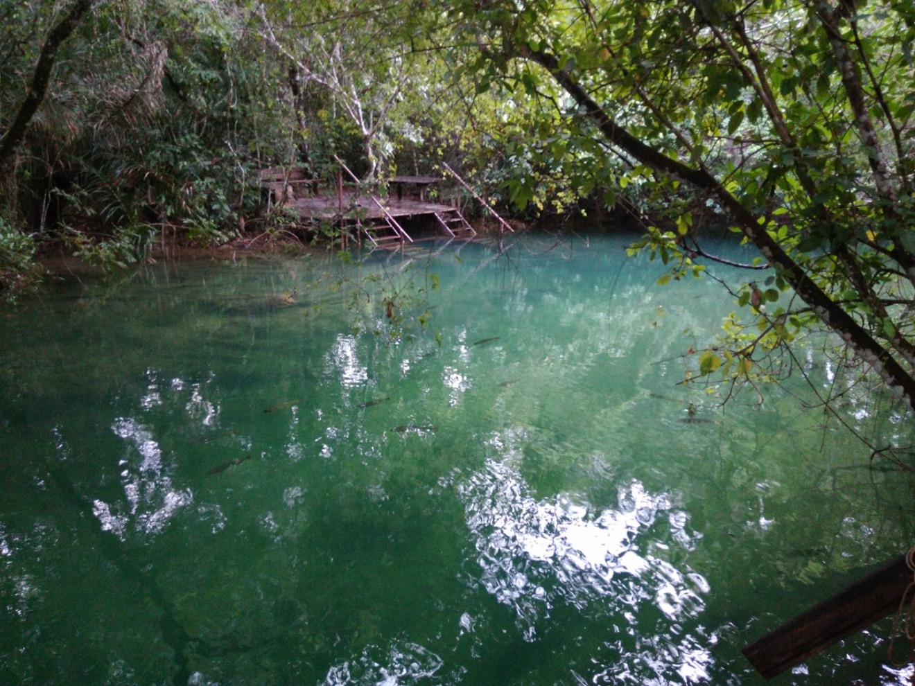 Audiência pública vai propor medidas para manter transparência das águas e o equilíbrio do meio ambiente na bacia hidrográfica da Serra da Bodoquena - Gabi Couto/CBN