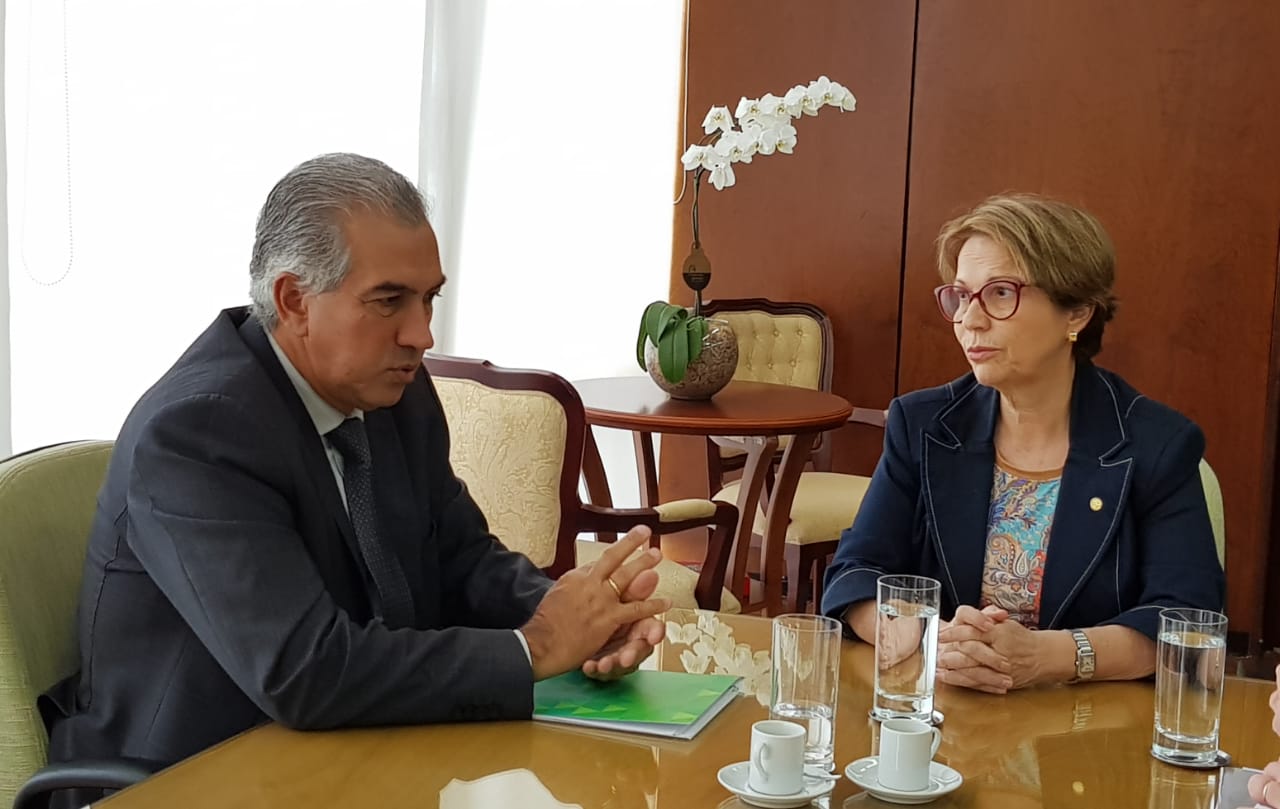 Reinaldo Azambuja se reuniu com a Ministra da Agricultura, Tereza Cristina em Brasília - Foto: Márcia Paravizzi