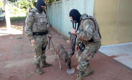 Balanço da Operação Katagogis tem prisão até por ‘gato’ de água