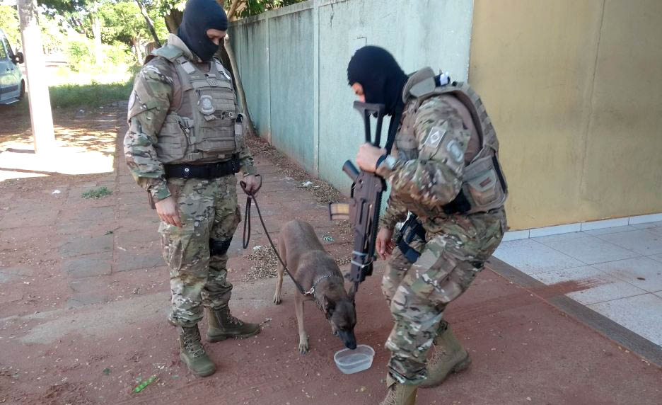 Balanço da Operação Katagogis tem prisão até por ‘gato’ de água