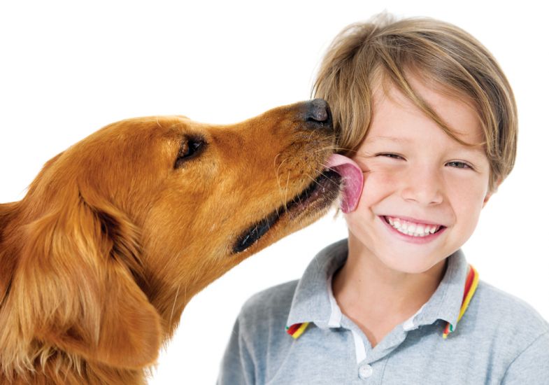 Parceria animal para domar o diabete Parceria animal para domar o diabete