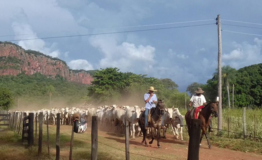  - Divulgação/Uems