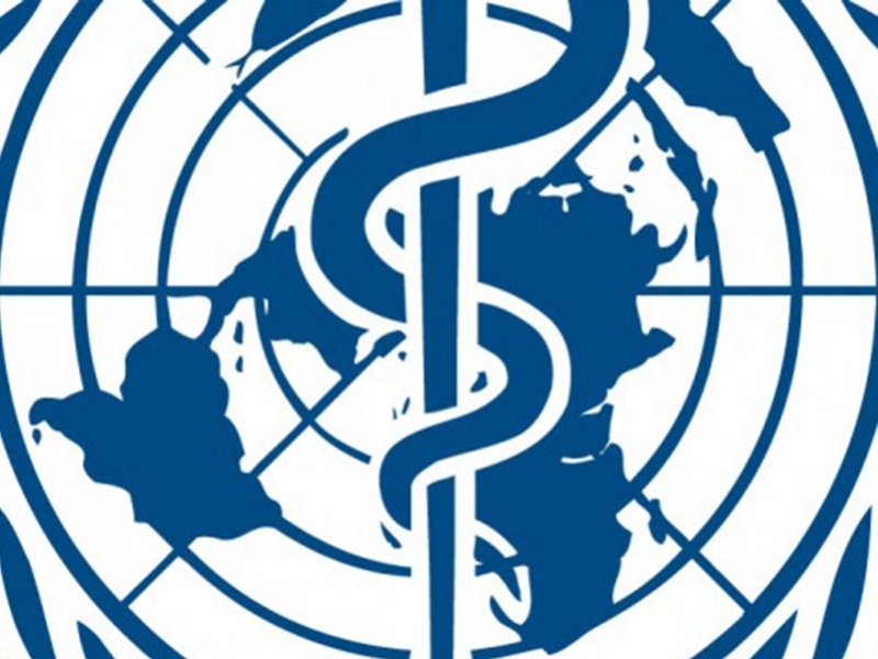 - Reprodução - Reprodução