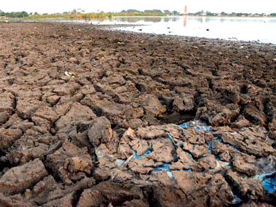Sistema de bombeamento das lagoas está quebrado -