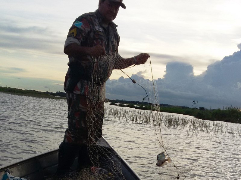 Peixes estavam presos em dois quilômetros de redes apreendidas - Divulgação PMA