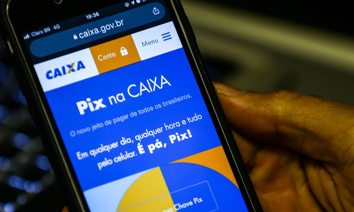 Segundo BC, etapa permitirá correção de eventuais problemas - Foto: Marcello Casal/Agência Brasil