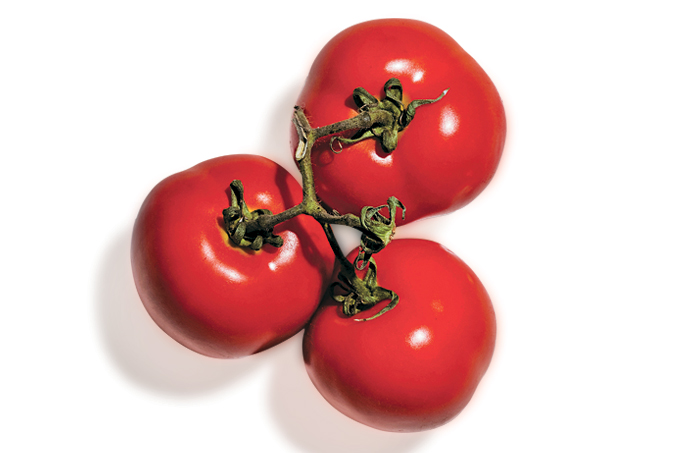 Tomate, um poderoso aliado contra o câncer Tomate, um poderoso aliado contra o câncer