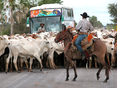 O setor produtivo se moderniza -