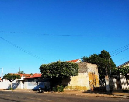 Temperatura deve alcançar os 32ºC com mínima de 16ºC - Danielle Leduc/JPNEWS