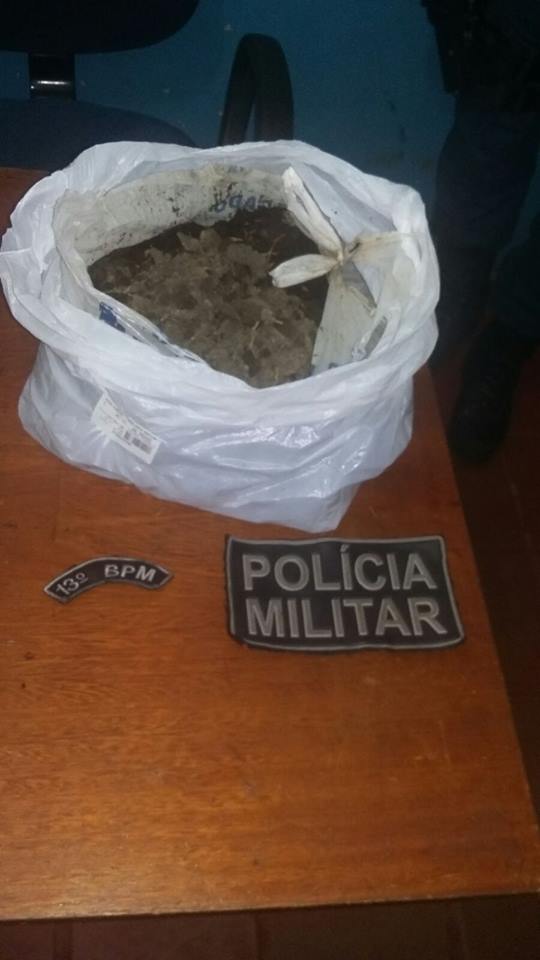 Maconha apreendida na casa abandonada - Assessoria de Comunicação   13 BPM 