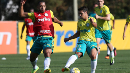 Palmeiras encara o Santos amanhã (29) na Vila Belmiro  - Agência Palmeiras