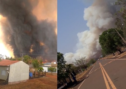Canavial particular pegou fogo na tarde desta segunda-feira e chamas foram vistas quilômetros de distância - Reprodução