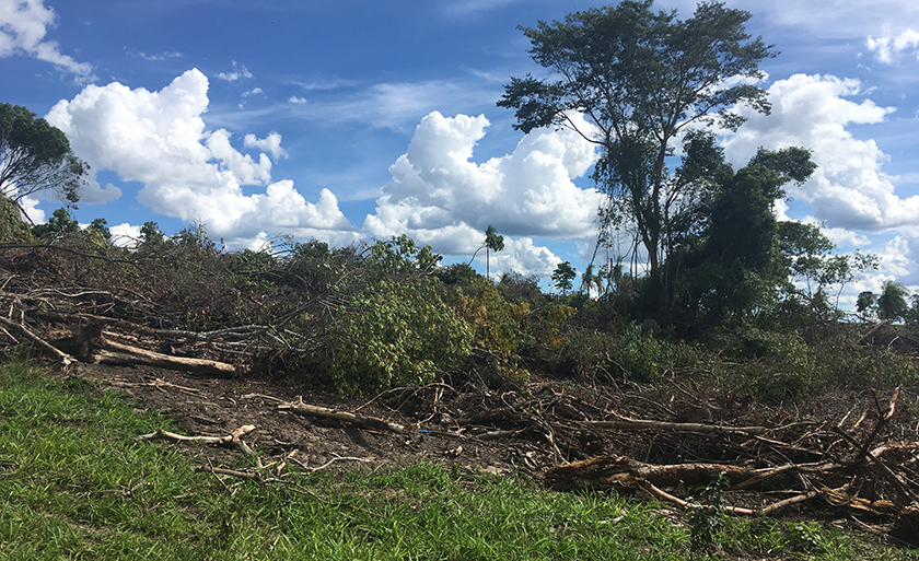 O fazendeiro desmatou 54,49 hectares de vegetação de cerrado - Divulgação/PMA