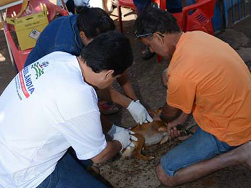 Secretário de saúde, Oziel Soares acompanhou a vacinação dos animais - Moisés Viana