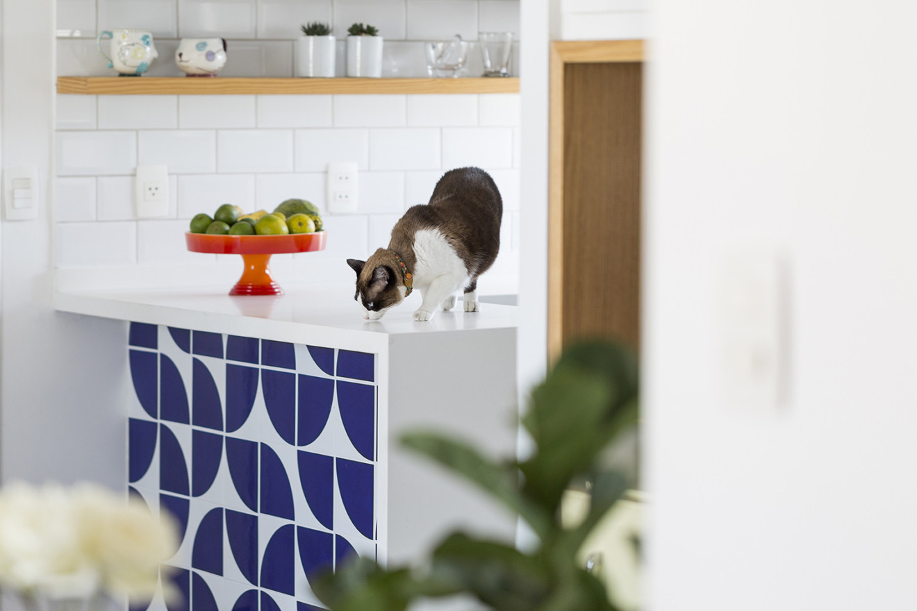 Décor: 6 dicas para preparar a casa para os pets