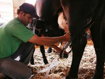 Nesta semana, as visitas acontecem em Bataguassu -