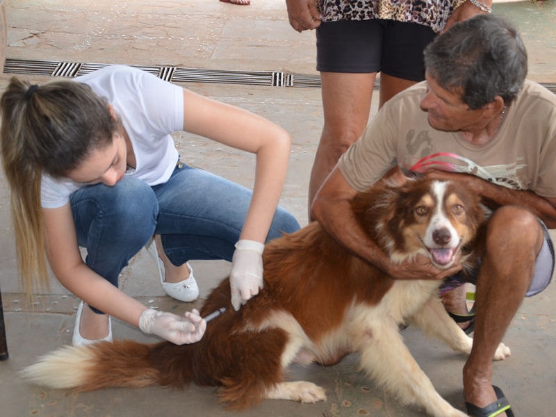 Mais de 90 cães foram vacinados na escola estadual Dom Aquino hoje, no Dia D da Campanha - Claudio Pereira/JP