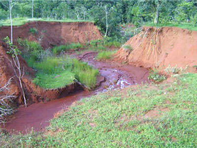 Córrego na Fazenda Santa Rosa -