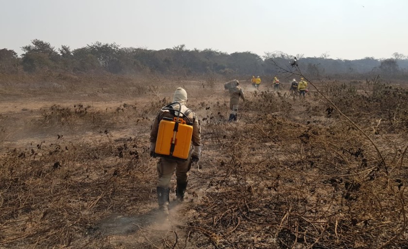  - Foto: Divulgação/Corpo de Bombeiros