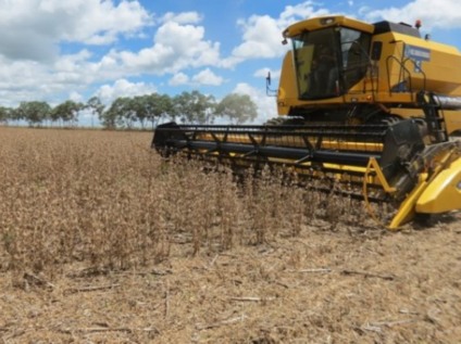 Produtores lançam máquinas e homens ao campo para a semeadura, aproveitando o clima propício, com chuvas e temperatura moderadas - Divulgação/Aprosoja