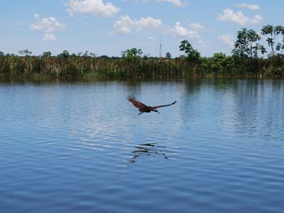 O objetivo é realizar um estudo do que é preciso ser feito para diminuir ao máximo os impactos ambientais ocasionados na Lagoa Maior -