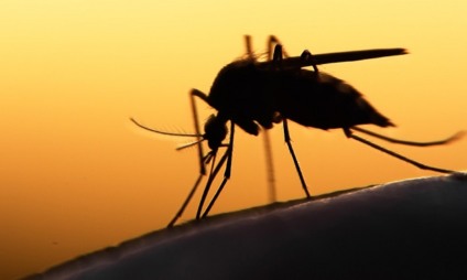 O município teve apenas um caso confirmado de dengue, sendo um total de 461 casos positivos - Revista ABRALE