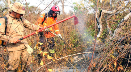 Número de autuações é crescente desde 2018, revelam dados - Divulgação/Semagro