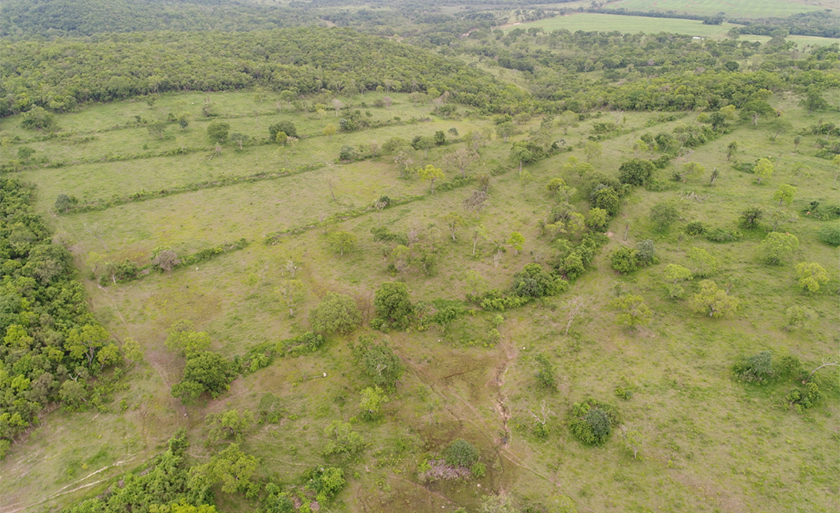 Ação ocorreu, nesta terça-feira (30), durante Operação Cervo-do-Pantanal - Divulgação/PMA