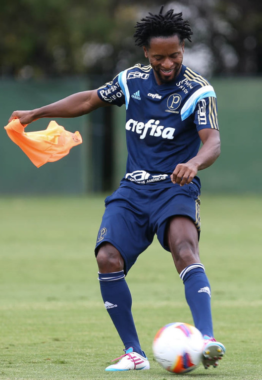 Zé Roberto se recuperou de uma gripe e foi relacionado para o confronto - Cesar Grecco/Agência Palmeiras