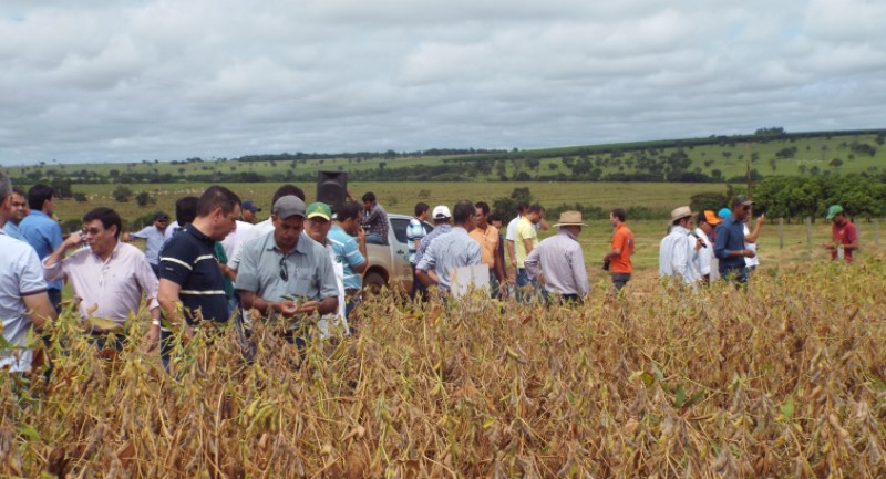 Cultivo da soja abre perspectivas para diversificar economia - Roberto Chamorro