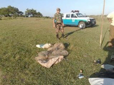 Parte do material apreendido pela Policia Ambiental -