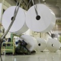 À frente de todos os setores, o grupo papel e celulose lidera com folga vendas para o exterior - Arquivo/JPNews