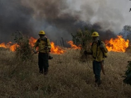 Do início do ano até agora MS registrou 4.115 focos de incêndio; sendo 57% deles em Corumbá - Divulgação/PREV FOGO