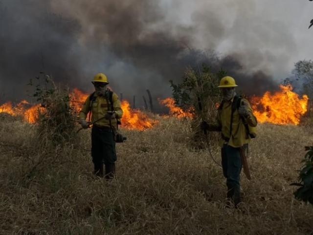 Do início do ano até agora MS registrou 4.115 focos de incêndio; sendo 57% deles em Corumbá - Divulgação/PREV FOGO