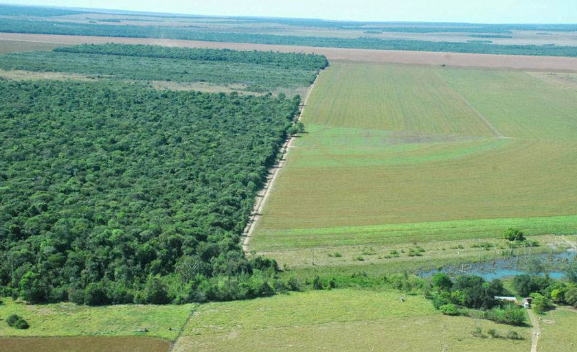 Fornecimento de dados é importante, também, para possíveis reduções em impostos do setor rural - Embrapa