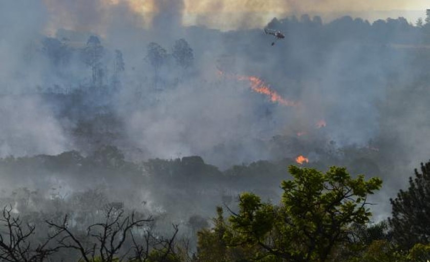 Nos quatro primeiros meses do ano, Bombeiros registraram 90 ocorrências de fogo em vegetação