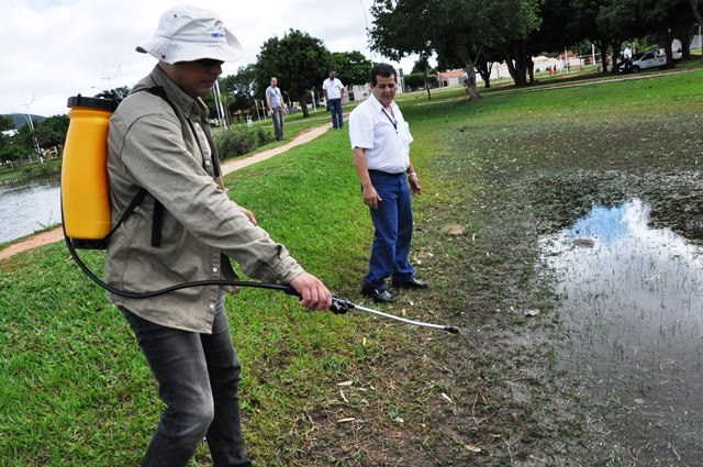 Diversas ações para combate do mosquito transmissor da doença têm sido realizadas em Três Lagoas. - Arquivo