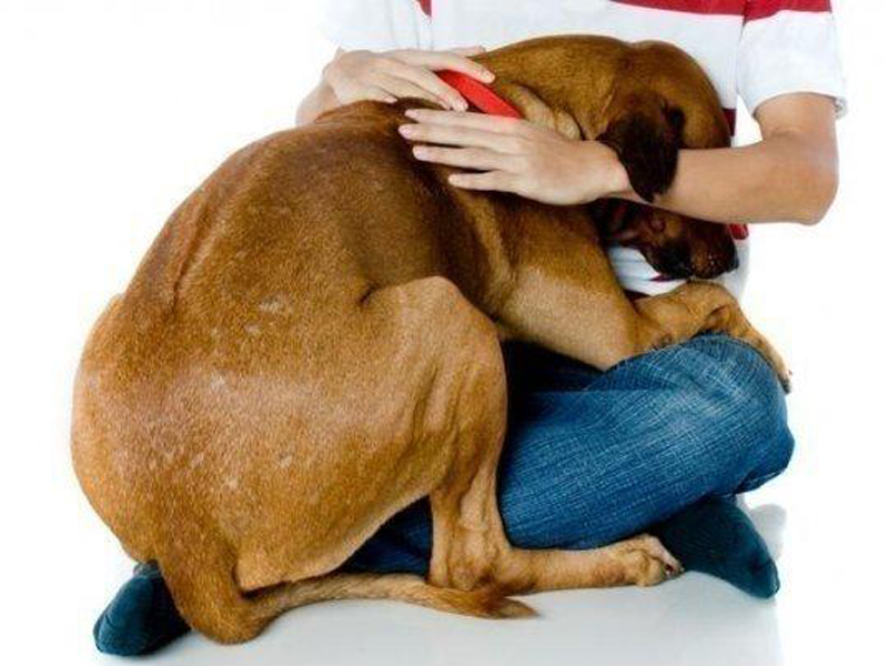 - Divulgação - Divulgação